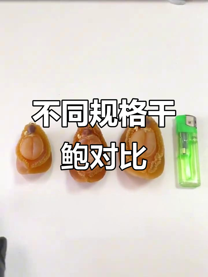 干鲍大小对比:从二十头到十头的价格与品质差异