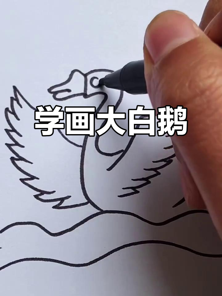 跟我一起画可爱大白鹅,简单又好玩!