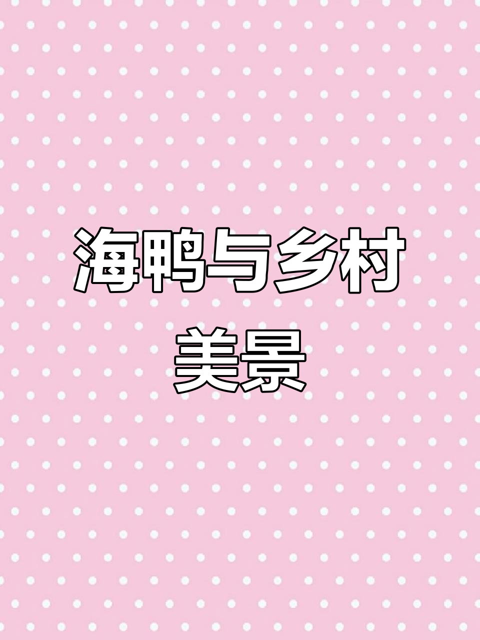 感受海鸭与乡村生活的完美融合,体验大自然的魅力