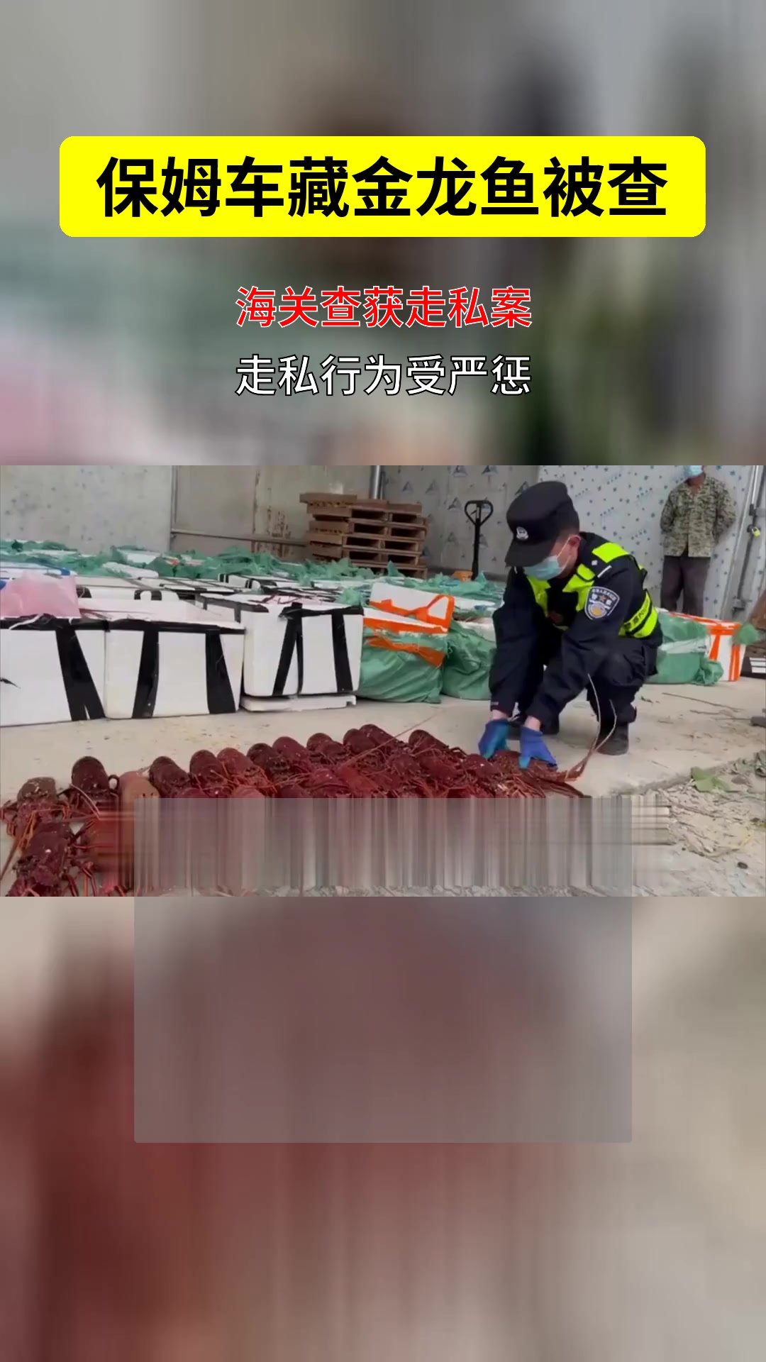 保姆车藏金龙鱼被查,走私法律红线不可触