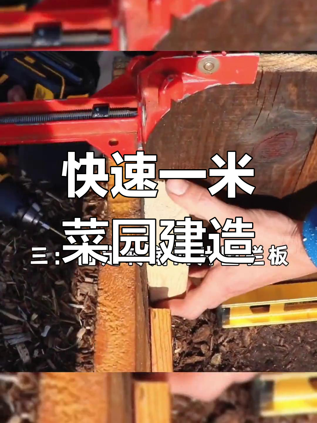 一米菜园轻松打造,家庭也能有蔬菜小天地