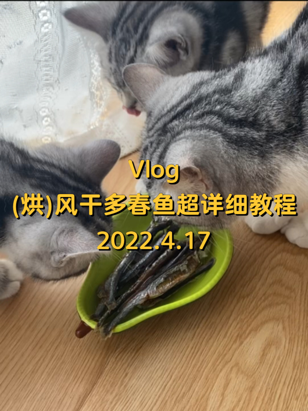 自制多春鱼干宠物风干多春鱼详细教程