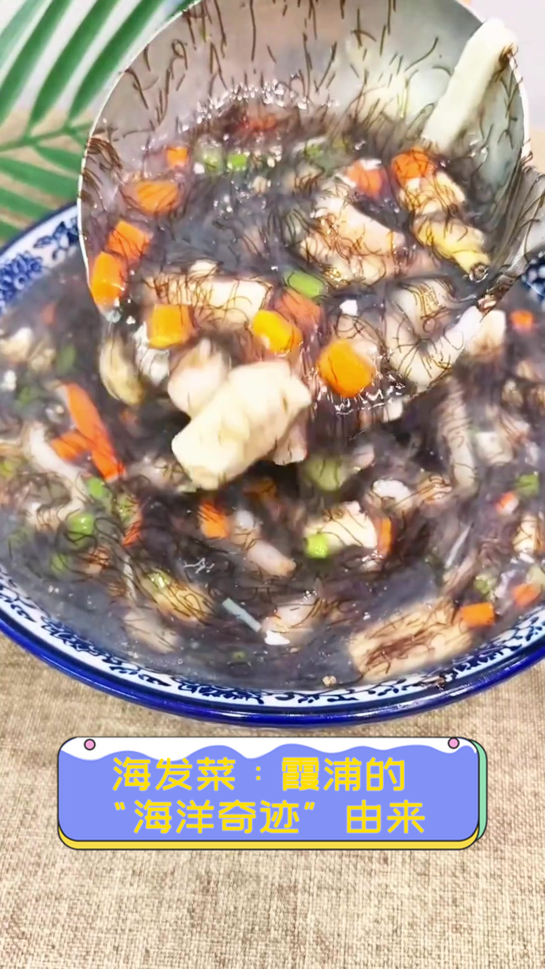 海发菜:霞浦的“海洋奇迹”由来