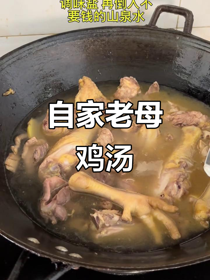 土鸡炖汤，山药香菇加持，鲜美又滋补