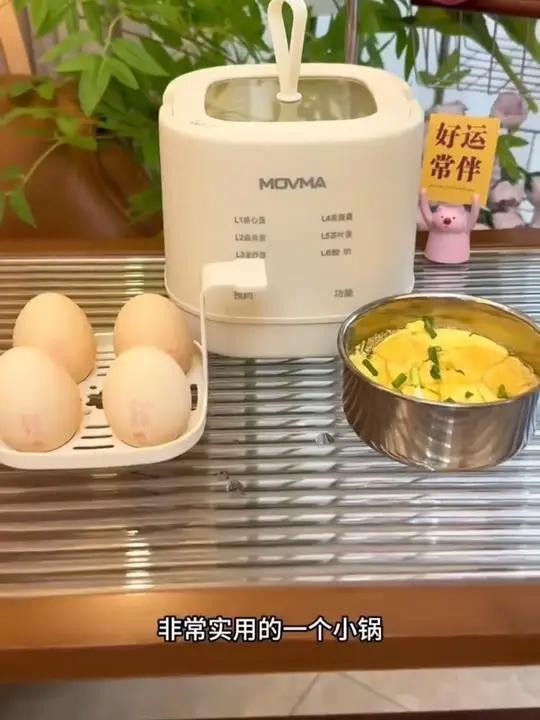 MOVMA多功能煮蛋器家用宿舍小型智能定时自动断电蒸蛋器煮蛋神器