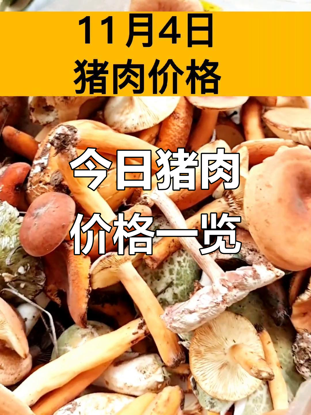 11月4日全国猪肉价格大揭秘,看看你家附近的价格变动