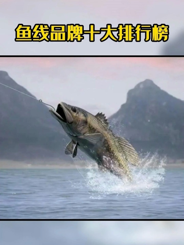 鱼线十大品牌