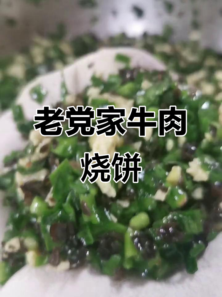 牧耕老党家牛肉烧饼,馅料十足味道超美