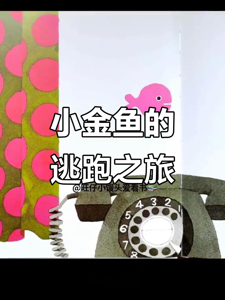 小金鱼逃走大冒险：窗帘、花朵都成了它的“藏身之地”