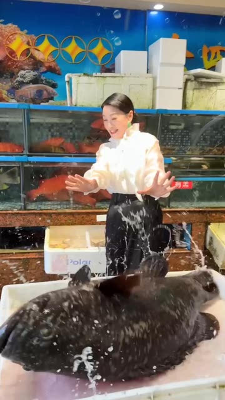 用六十斤的大龙趸来做个一鱼六吃！宝妈可千万要看完