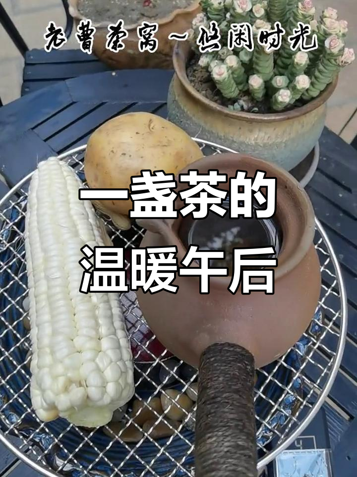 午后暖阳,静享一壶好茶的时光