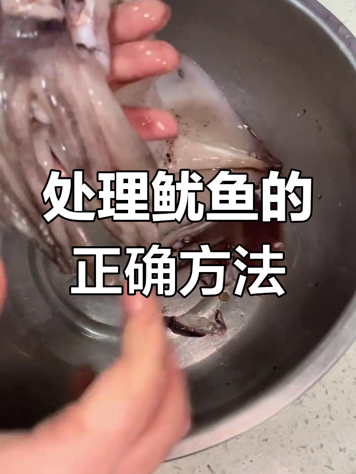 鱿鱼处理全攻略,去除不能吃的地方