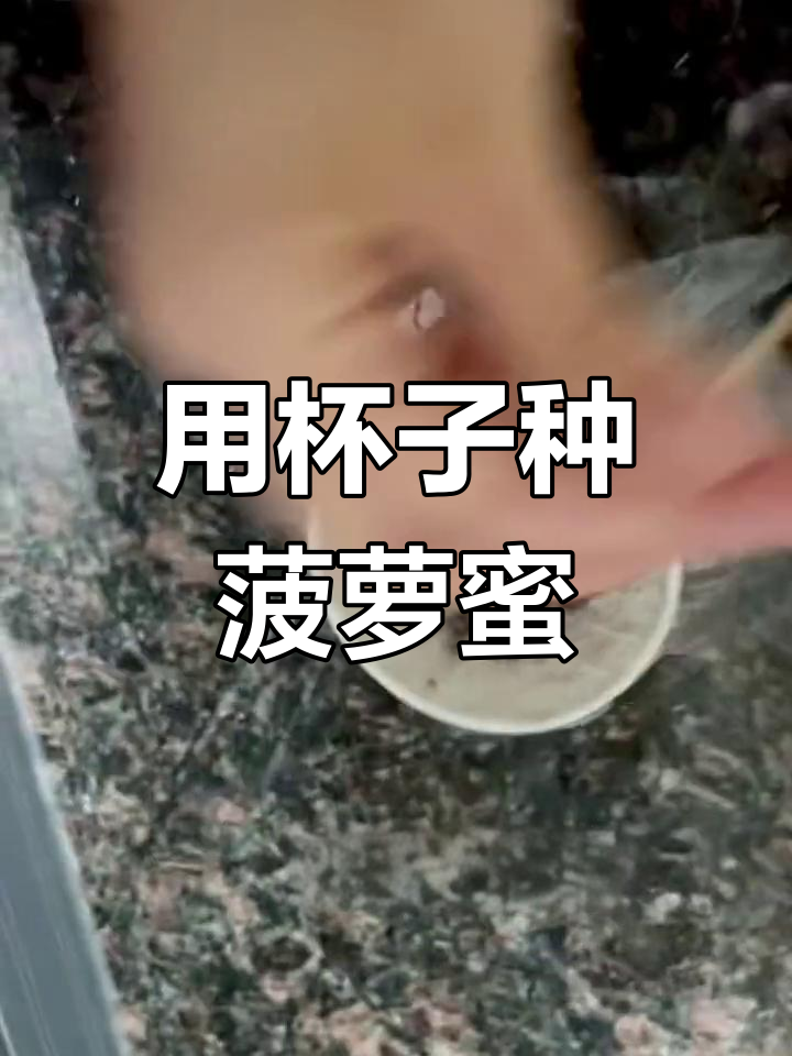 小朋友用一次性水杯种菠萝蜜