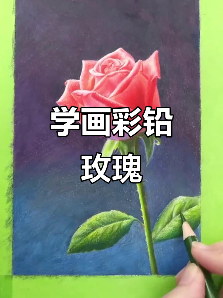 彩铅玫瑰花教程,零基础也能轻松学会