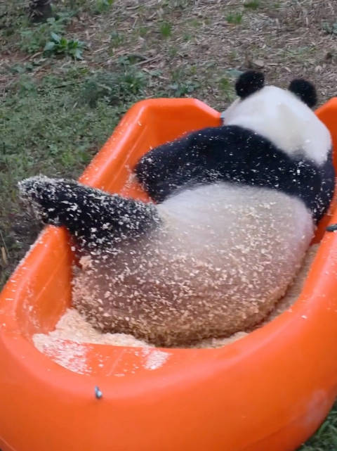 华丽宝宝,你是个椰蓉糯米糍