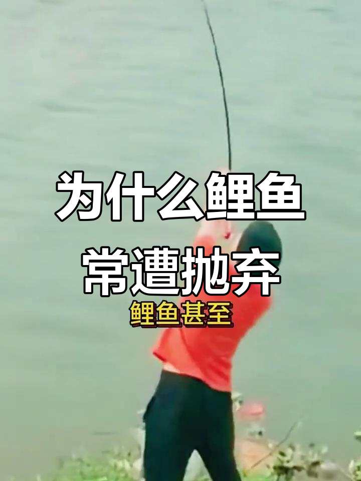 鲤鱼为何被钓鱼人嫌弃?土腥味重、肉质粗糙是主因