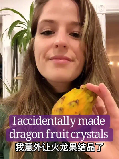 小侨看世界「显微镜下的水果树叶长啥样?」显微镜下观察火龙果、梨子、南瓜、落叶……好神奇!Y