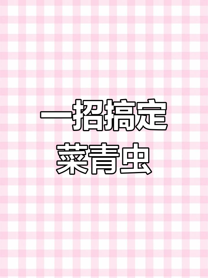 菜青虫成灾?教你一招彻底清除小肉虫