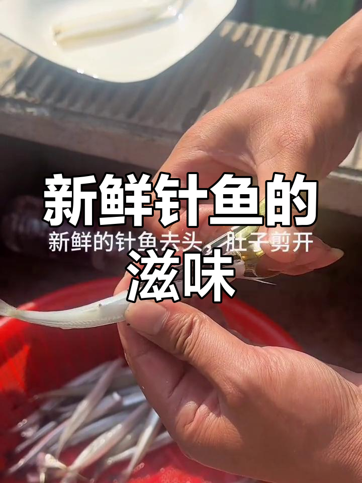 终于尝到针鱼,口感超赞!