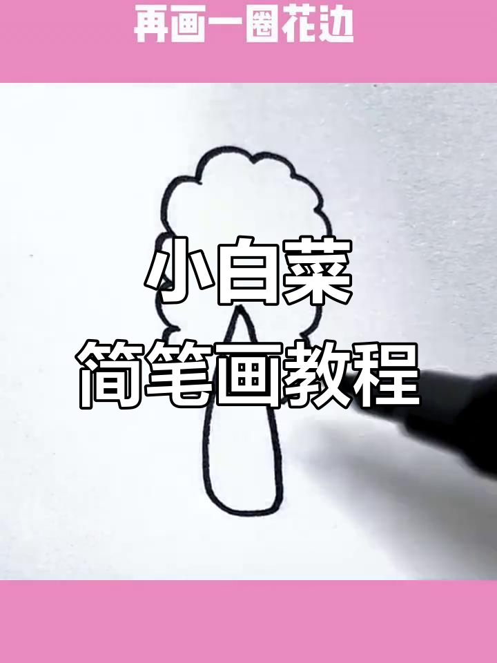 轻松画出可爱小白菜,步骤简单有趣