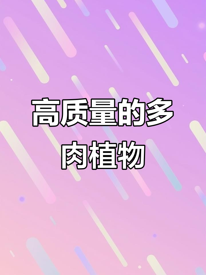 精控高货:多肉植物品质与价格并重,细节决定成败