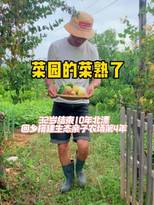 在小小的菜园里拔 菜园里都有什么