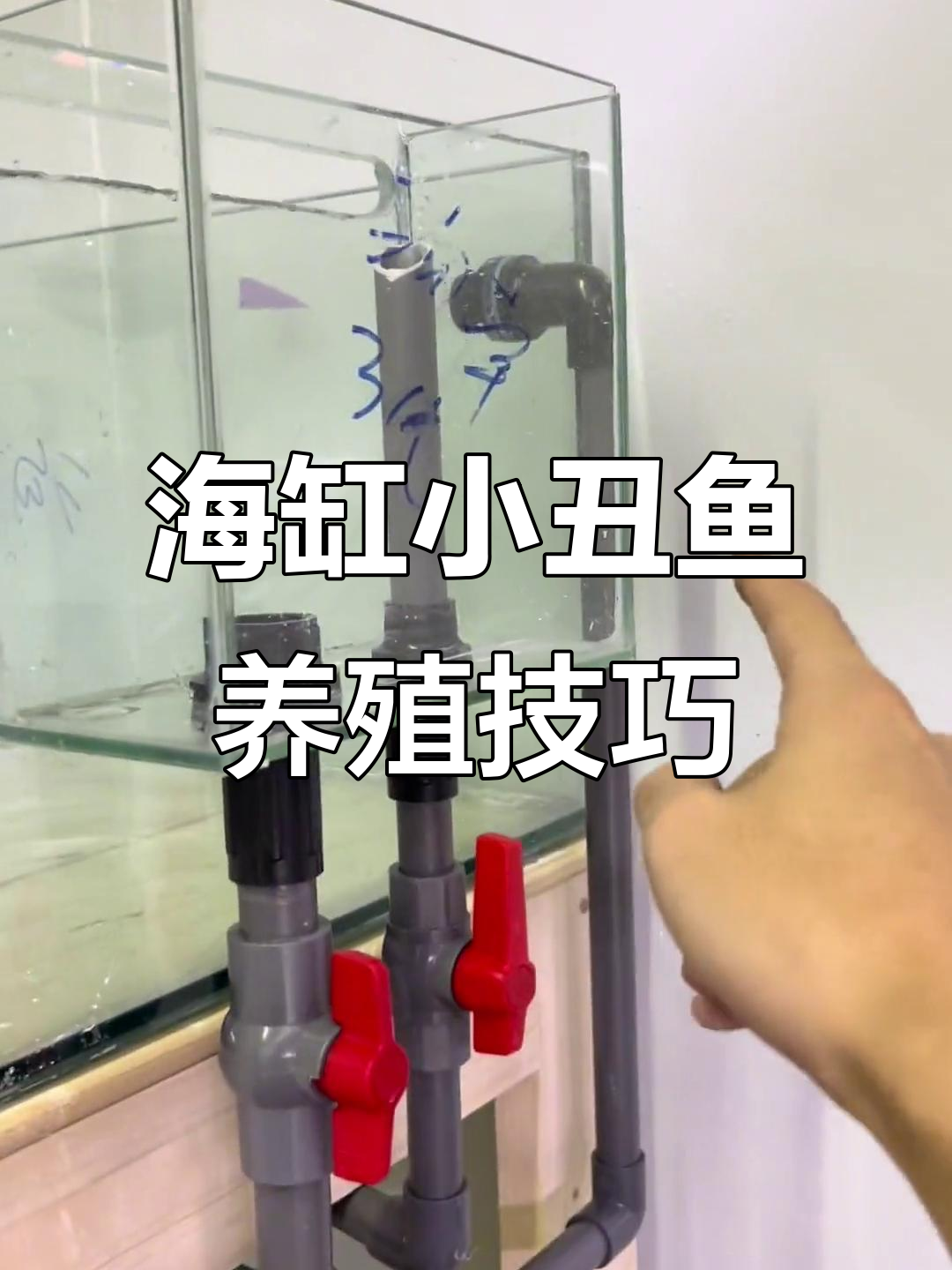 小丑鱼繁殖缸配置详解,亚克力定制与水路设计全解析