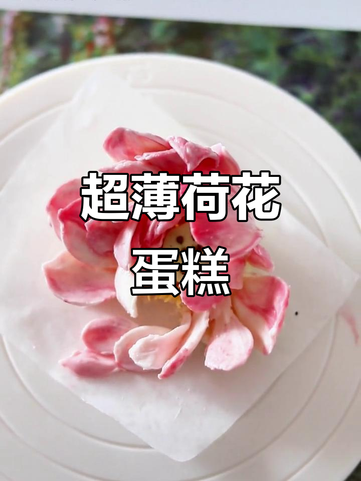 荷花蛋糕刮刀花,超薄花瓣灵动飘逸