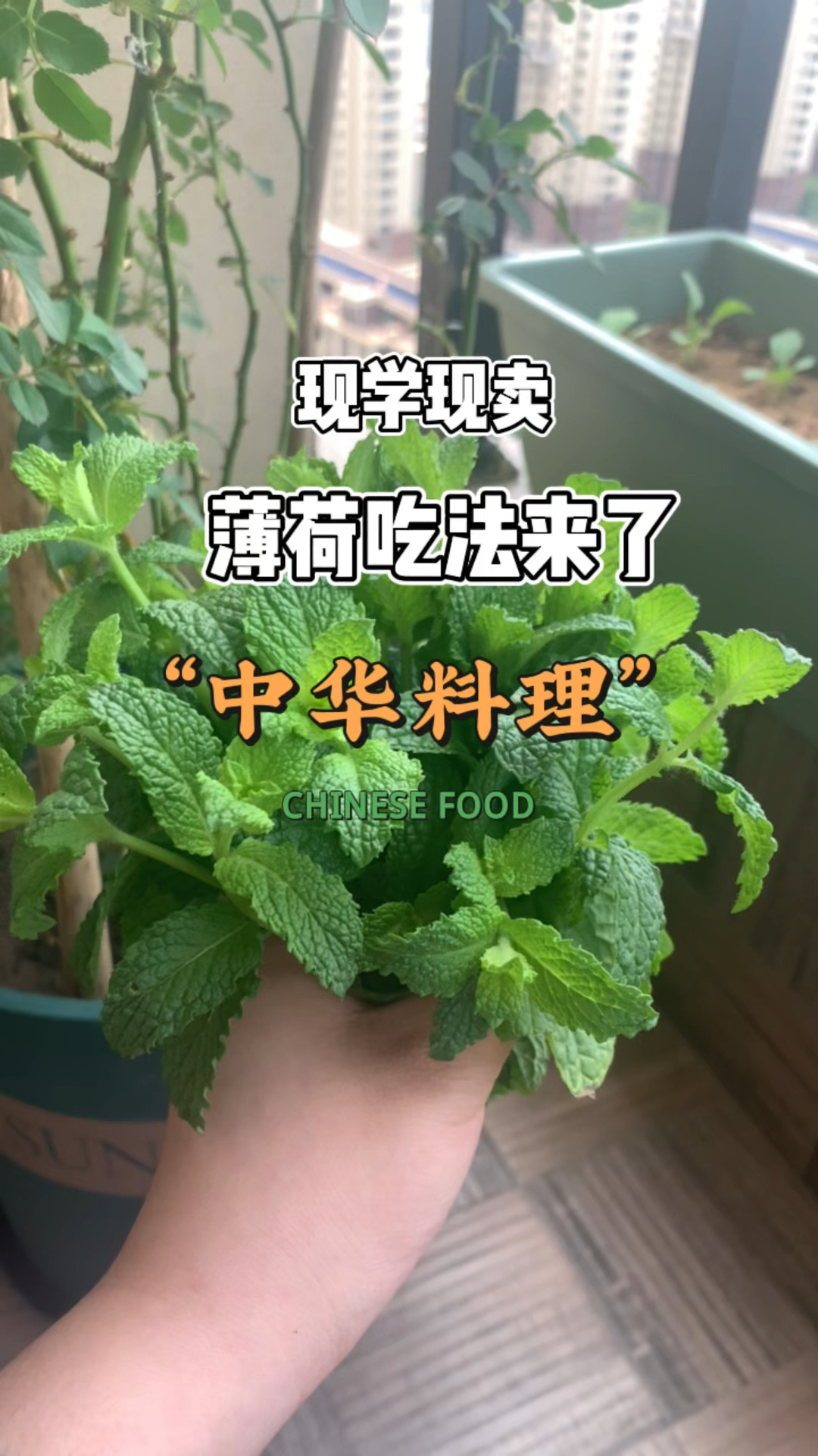 薄荷吃法