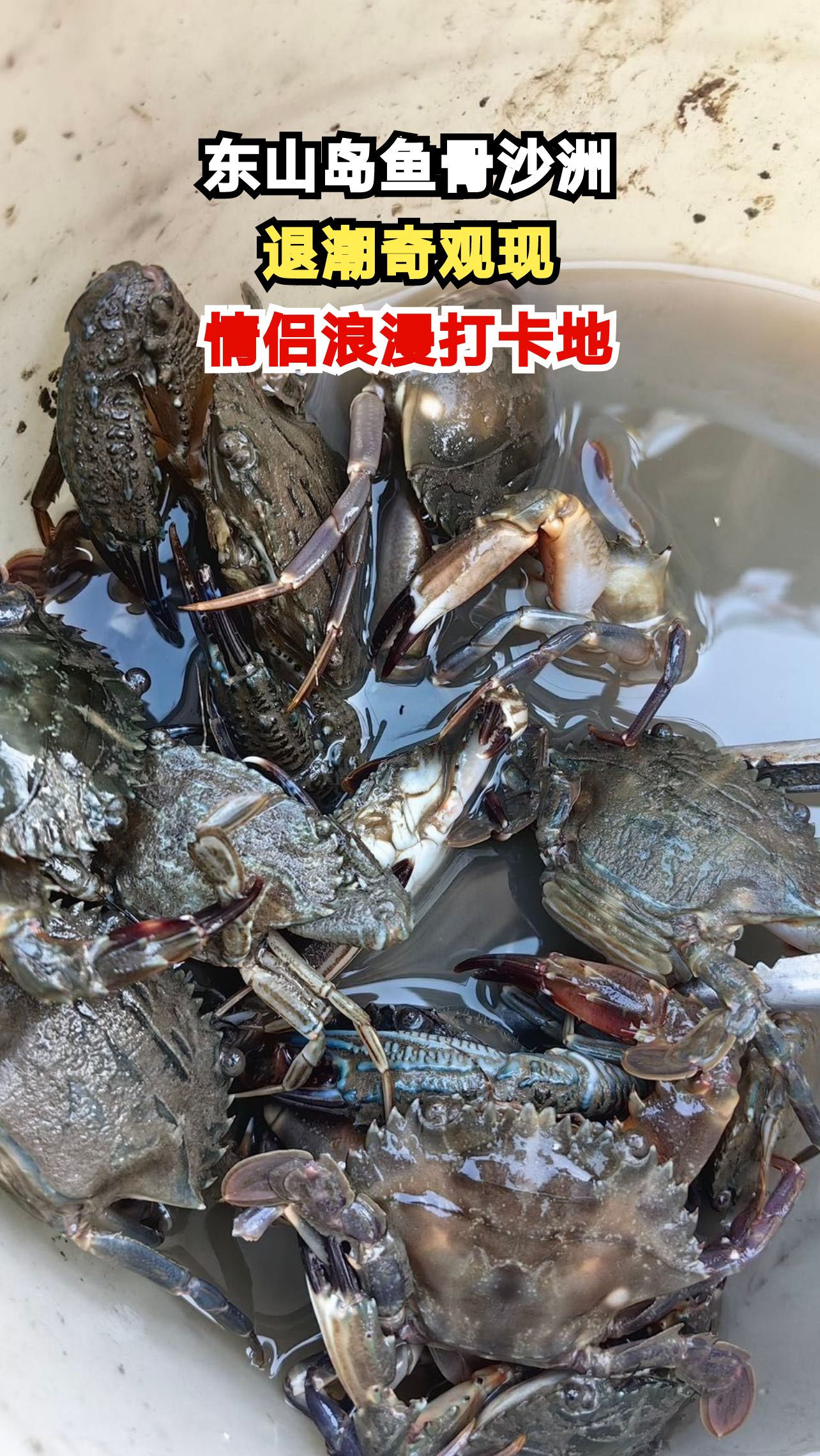 福建东山岛隐藏海上秘境，退潮时竟浮现鱼骨形沙滩！