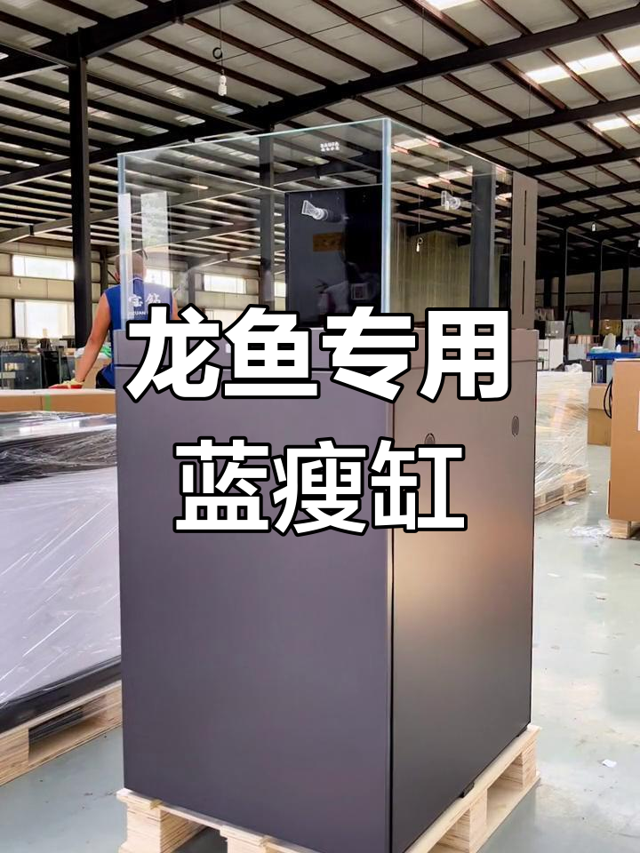 定制超白缸,龙鱼专属过滤系统全解析