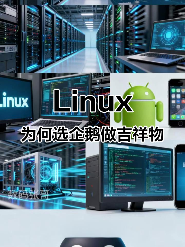 Linux的企鹅吉祥物背后，竟与创始人的一次动物园之行有关