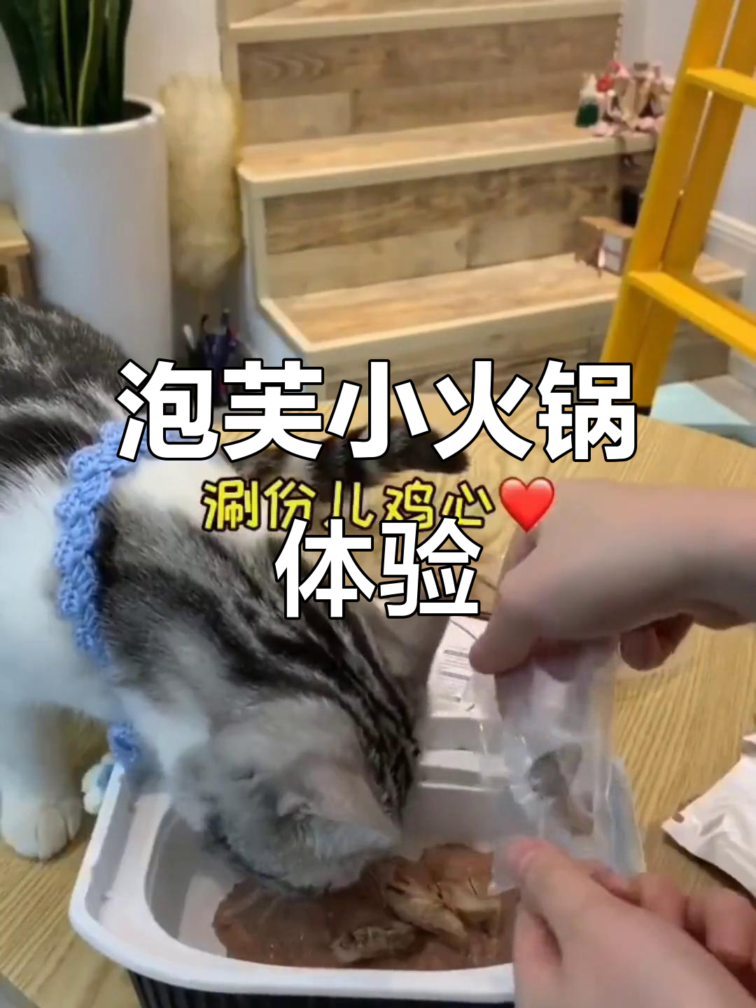 泡芙火锅大揭秘,肉酱锅底配蒜香鸡心和鳕鱼三文鱼的完美搭配