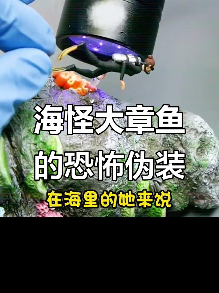 深海巨型章鱼伪装成岩石，捕食潜水者惊悚登场