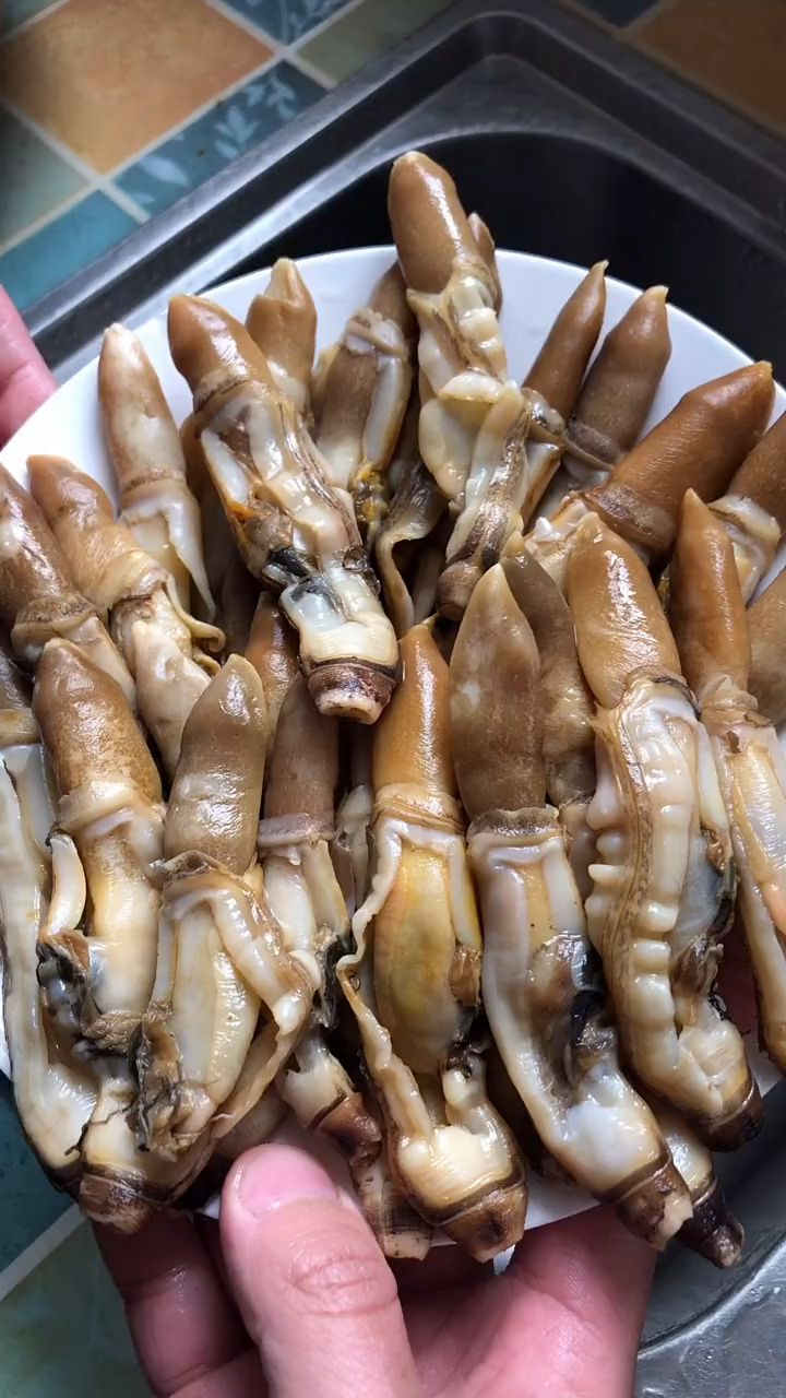 教程来啦,教大家如何清理蛏王肉