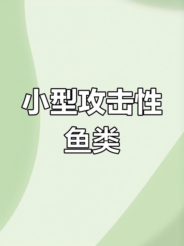 五大凶猛小型观赏鱼