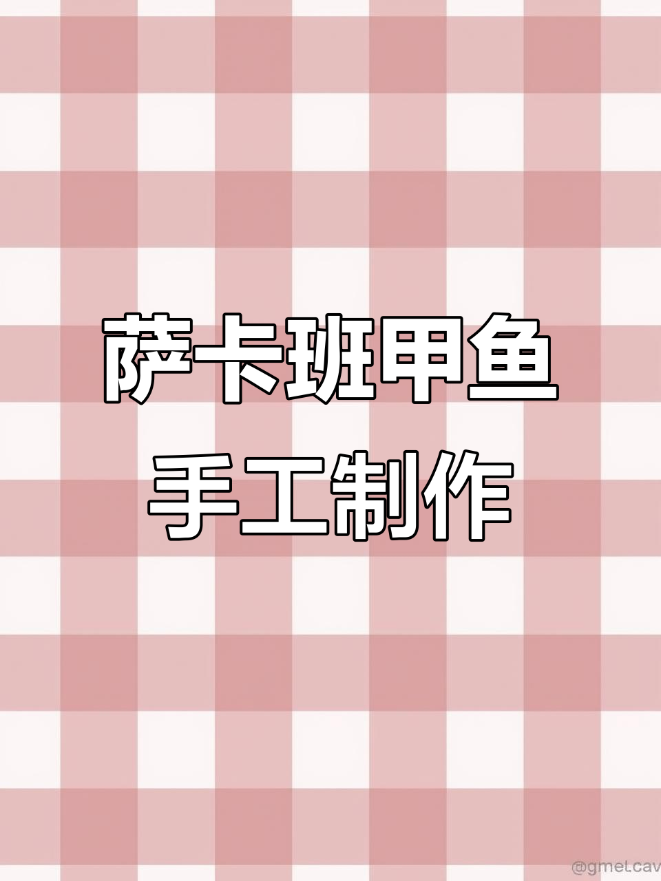 自制四种萨卡班甲鱼手工,创意DIY乐趣多