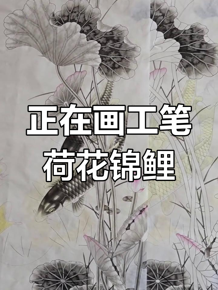 工笔画《碧荷遮鱼》创作过程,荷花锦鲤图细节展示