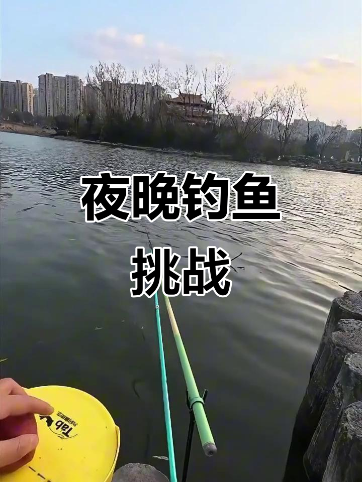 晚上钓鱼大作战,千里香和铅笔箱加持能否爆护?