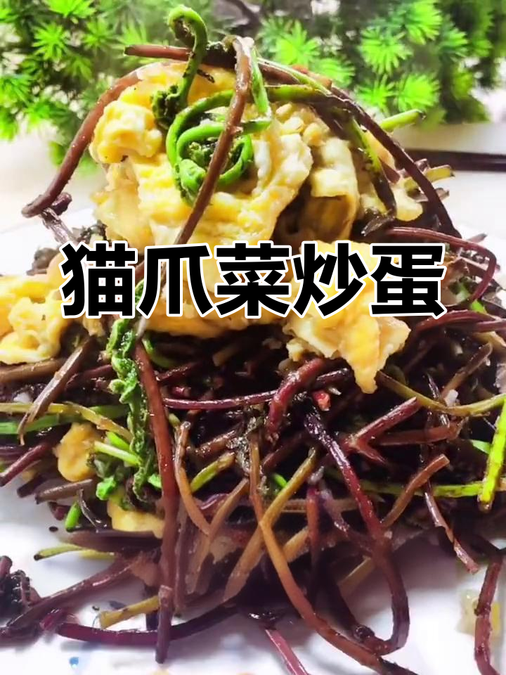 猫爪菜炒鸡蛋,简单又美味!