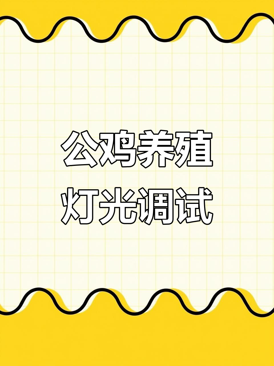 大红公鸡养殖技巧:灯光调节与观察方法