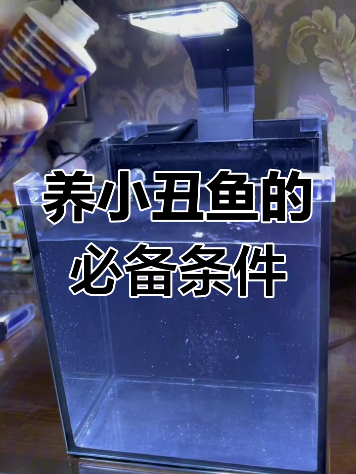 小丑鱼海水配置全攻略:从零开始养水步骤详解
