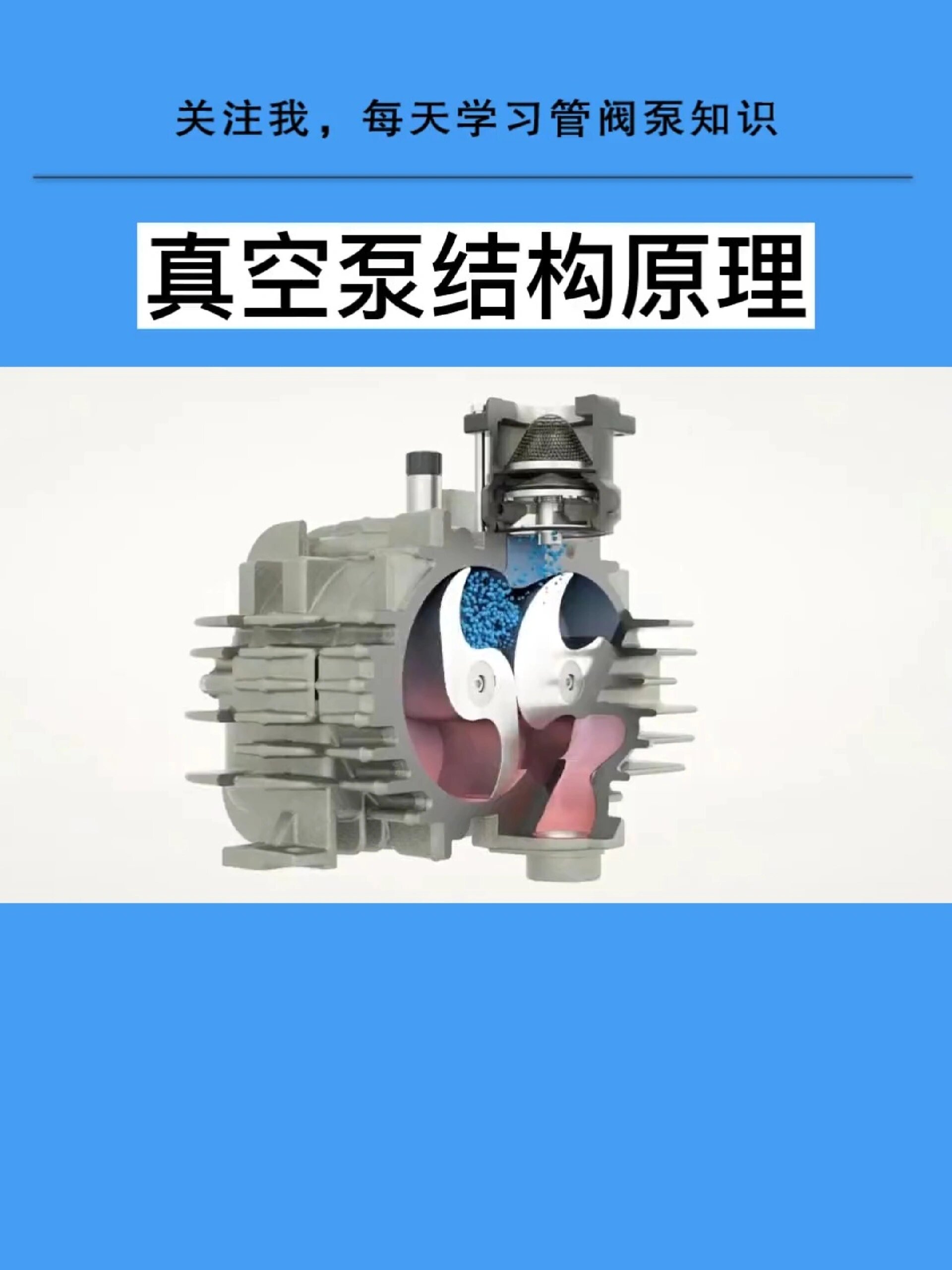真空泵结构原理