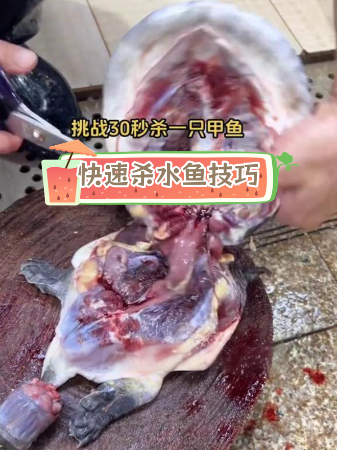 深圳东门市场杀甲鱼全过程,挑战30秒不眨眼