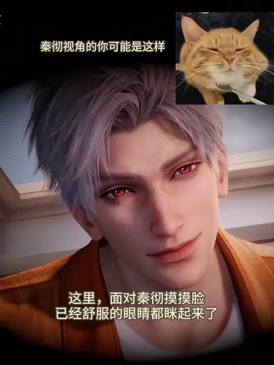 完了，本咪对秦彻的依恋已经达到了顶峰