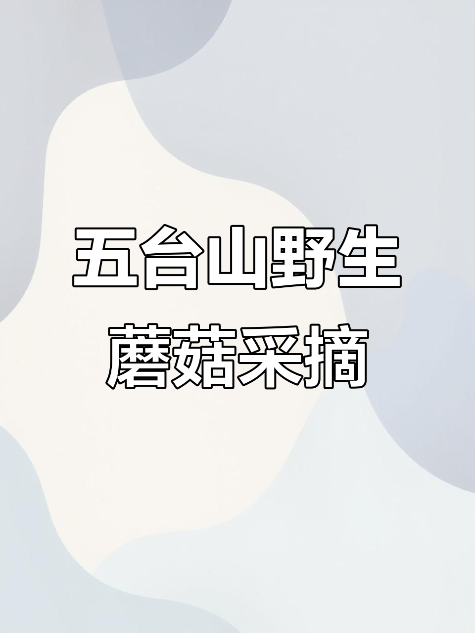 五台山野生蘑菇:大自然的馈赠与采蘑乐趣