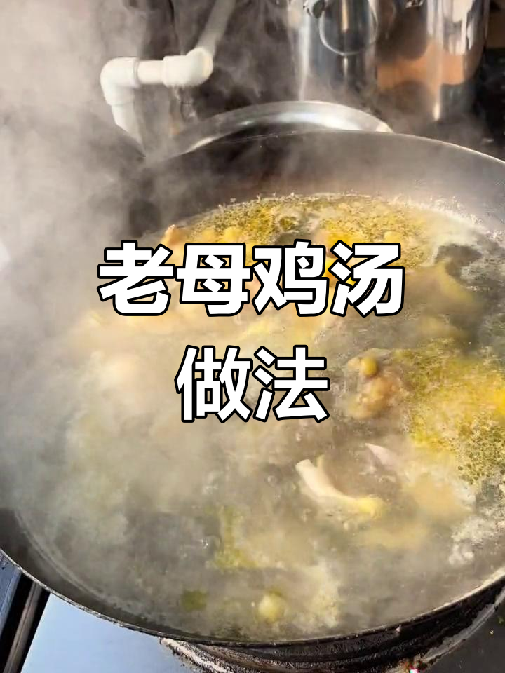 三年小母鸡炖出鲜美鸡汤,砂锅煨汤更香浓