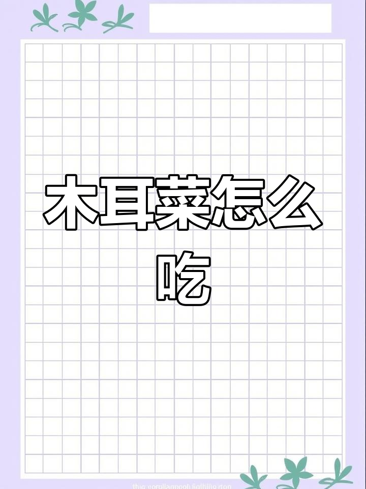 大叶木耳菜的多种吃法与口感体验