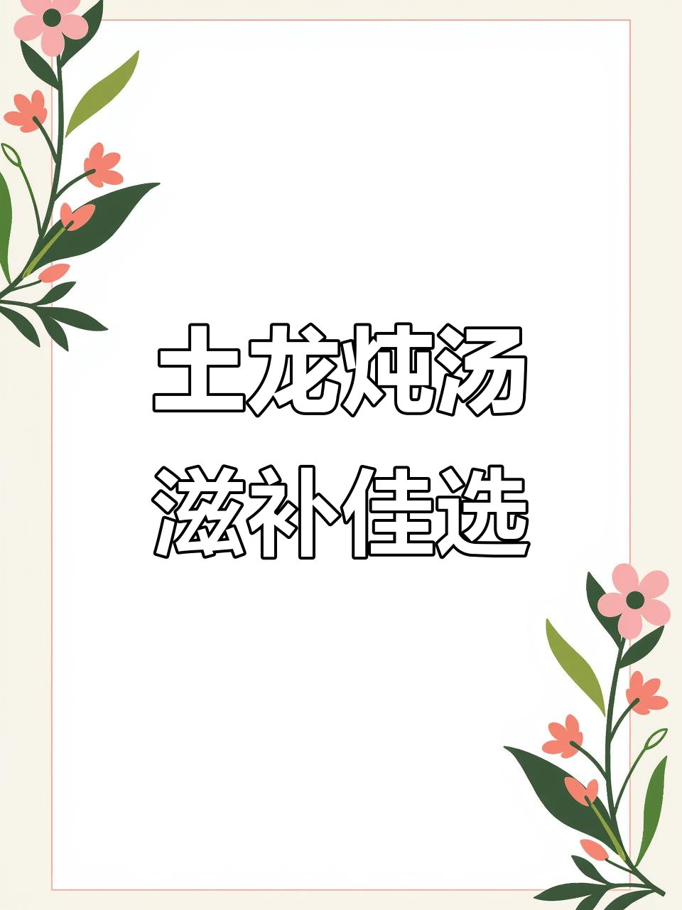 土龙炖汤,滋补又美味!北海码头新鲜做法大揭秘