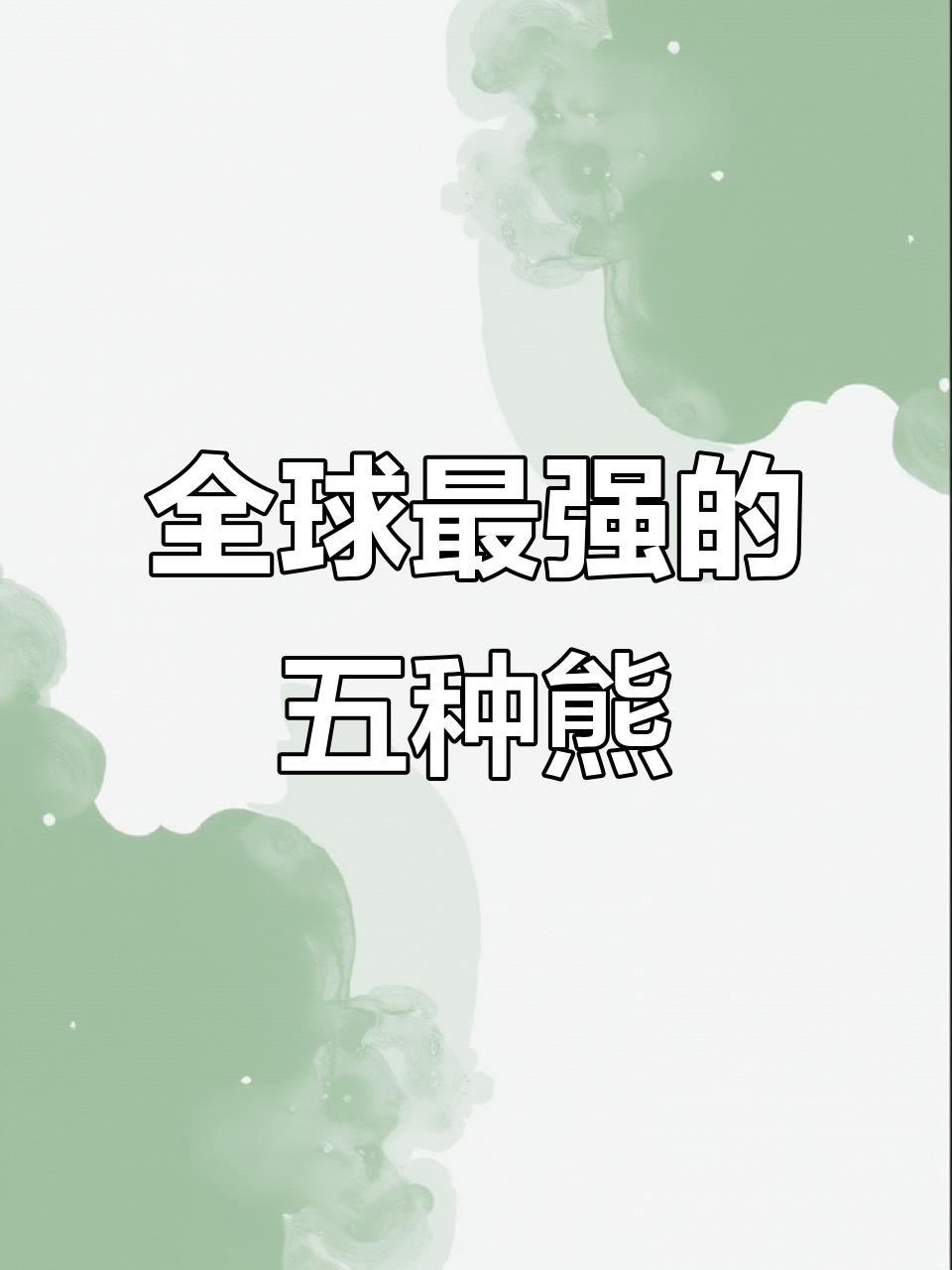 世界十大最强熊类排名,哪个才是真正的“熊王”?